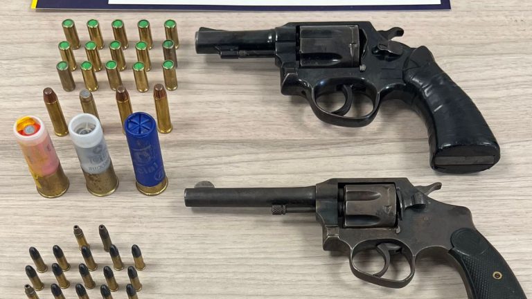 PDI detiene a dos jóvenes e incauta armas y drogas en operativos en Valdivia