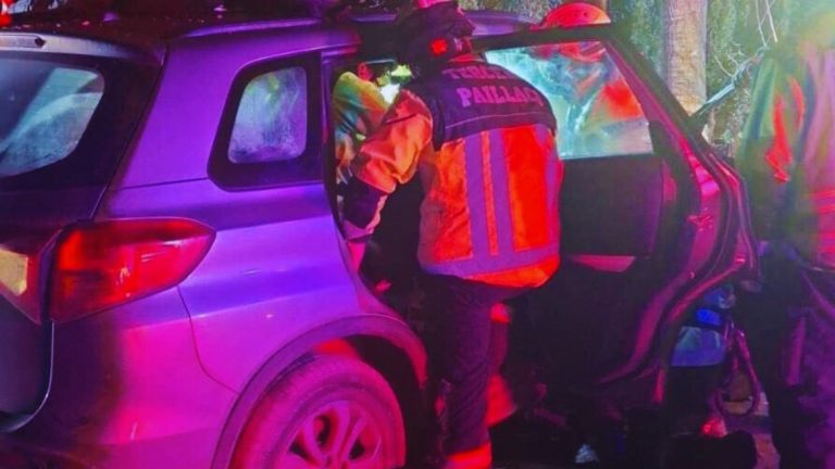 Conductor huye de control policial en Paillaco y termina chocando contra un árbol