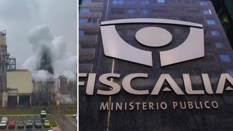 Fiscalía descarta hasta ahora daño ambiental en accidente de Celulosa Arauco