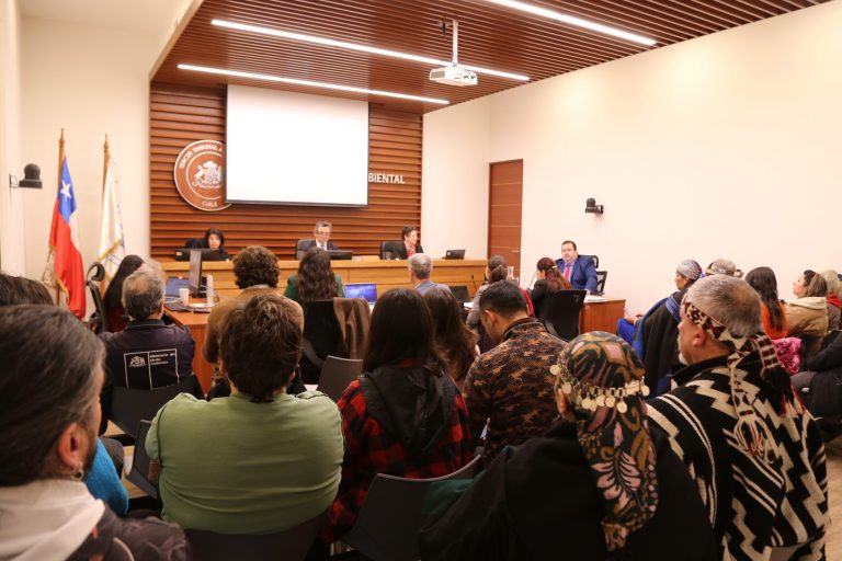 Tribunal Ambiental escuchó alegatos por reclamación que busca anular normas de calidad de aguas del río Valdivia