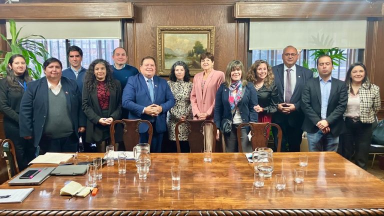 Consejeros Regionales de Los Ríos gestionaron en Santiago glosas presupuestarias para 2026