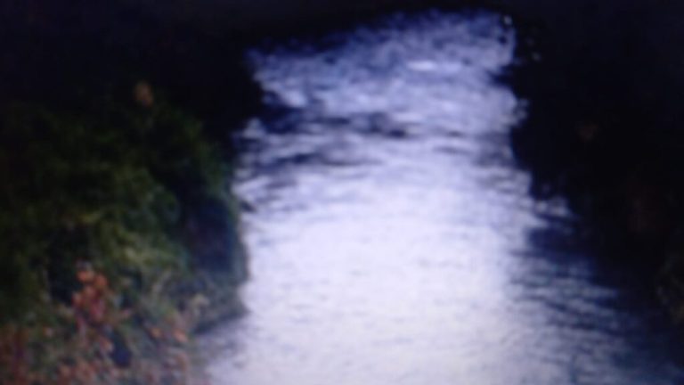 Rio Bueno : Dos personas desaparecidas en río Pilmaiquén tras ceremonia ancestral mapuche