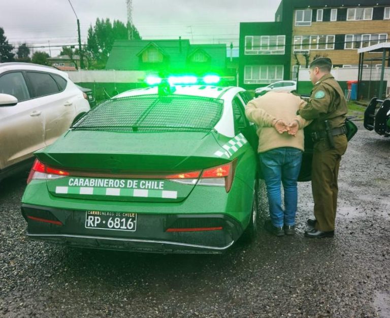 Robo de alimento para ganado en Río Bueno termina con cuatro detenidos y un arma incautada