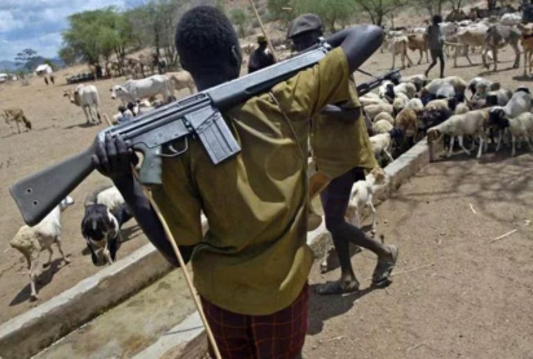 Ganaderos fulani atacan una zona cristiana en el centro-norte de Nigeria