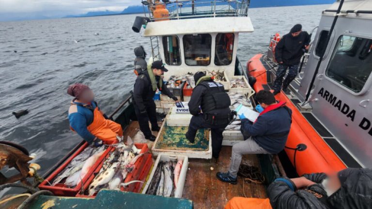 Gran despliegue en el Golfo de Ancud logra la detección de embarcaciones operando ilegalmente