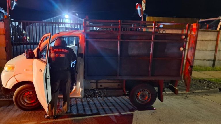 Dos hermanos detenidos en Río Bueno por abigeato y conducir en estado de ebriedad