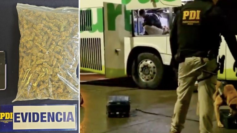 PDI decomisa marihuana avaluada en $5 millones en bus interregional en Los Ríos