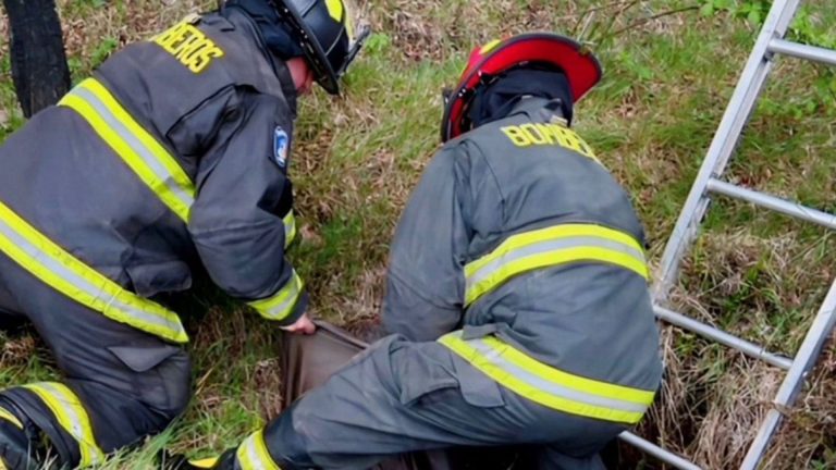 Adulto mayor de 91 años fallece tras caer a un pozo en sector rural de Panguipulli
