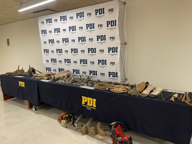PDI recupera más de $6 millones en equipamiento ecuestre y maquinaria sustraída en Osorno