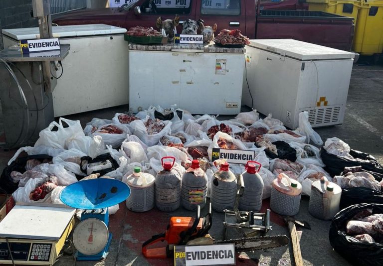 Más de 15 millones en especies incautadas tras operativo de la PDI contra el abigeato en Osorno