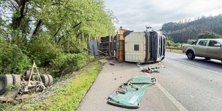 Conductor resultó lesionado tras volcamiento de camión forestal en la Ruta 5 Sur en Paillaco