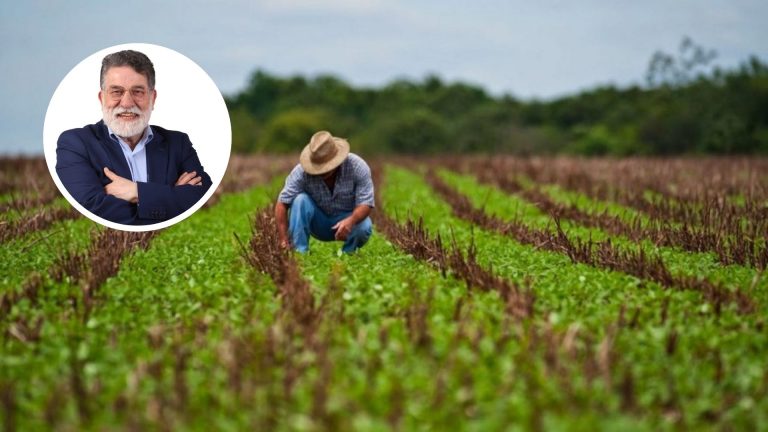 La agricultura en el corazón de las decisiones regionales