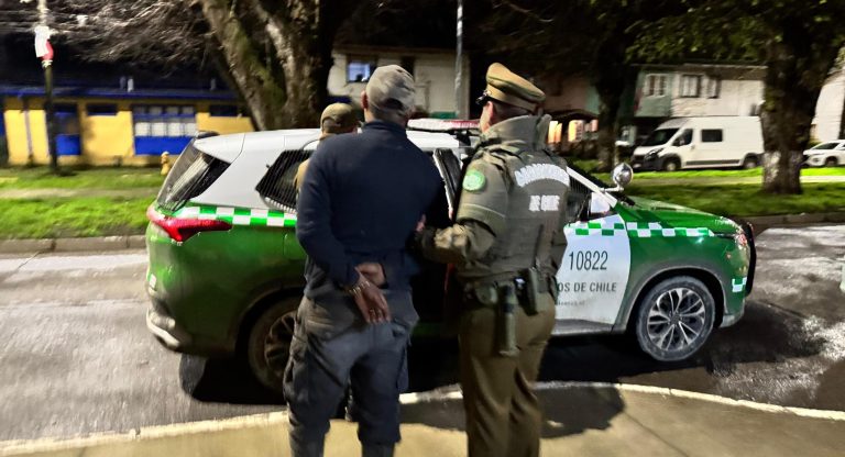 Detienen en Río Bueno a dos sujetos sorprendidos robando 94 plantas de arándanos