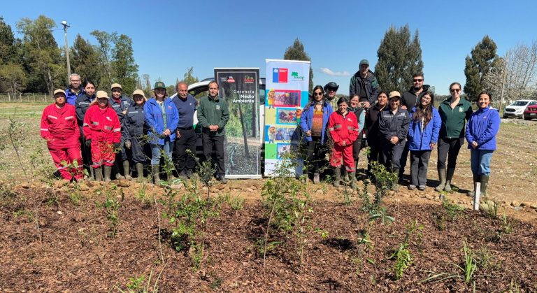 CONAF y COLUN instalan un «Bosque de bolsillo» con el revolucionario método Miyawaki