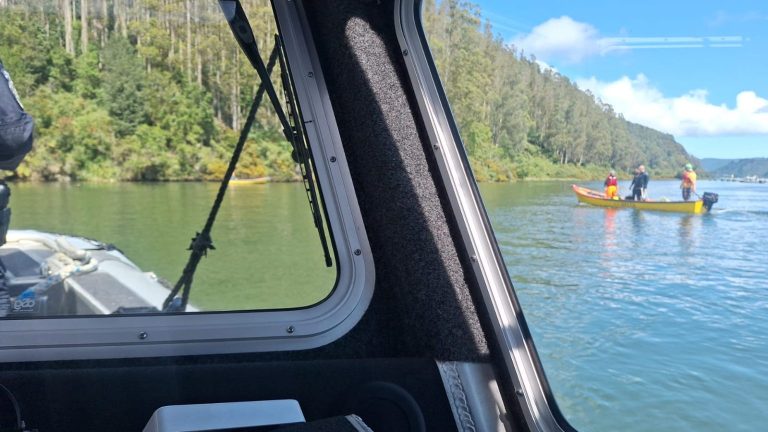 Hombre de 78 años muere tras caer al río Valdivia mientras pescaba