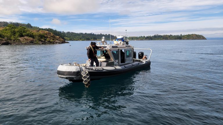 Siete personas salvan ilesas tras volcamiento de embarcación en el lago Ranco