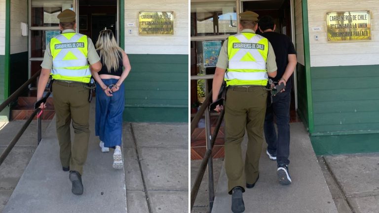 Carabineros de Paillaco captura a pareja con amplio historial delictual y recupera especies robadas