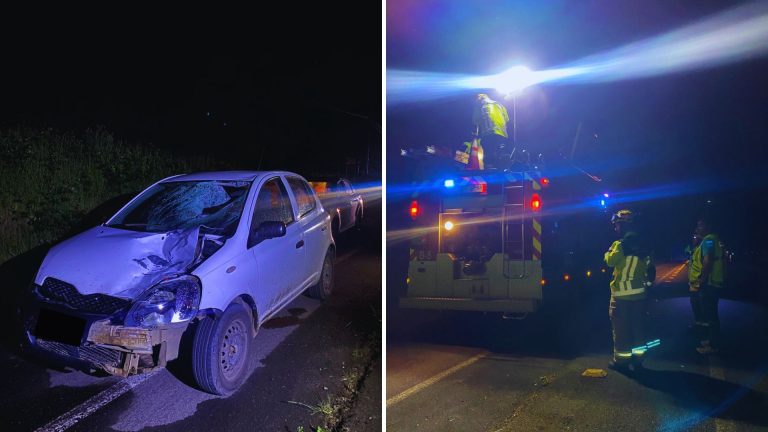 Hombre fallece tras ser atropellado en la ruta que conecta Río Bueno con Lago Ranco