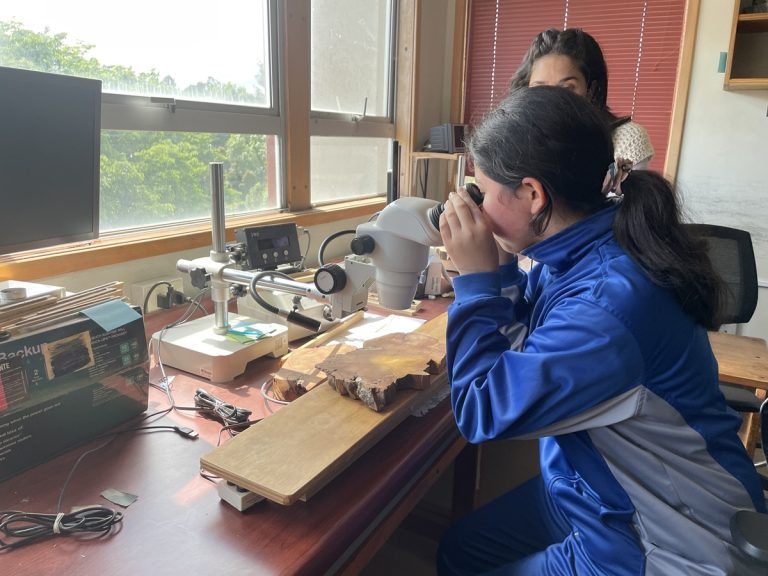 “Travesías a los conocimientos” trajo a Escuela Rural Ensenada al Laboratorio de Dendrocronología UACh