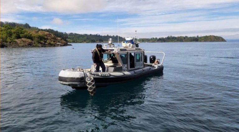 Lago Ranco : Siete personas salvan ilesas tras volcamiento de embarcación