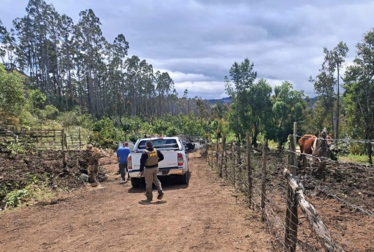 PDI detiene a dos hombres sorprendidos robando madera en predio de Los Lagos