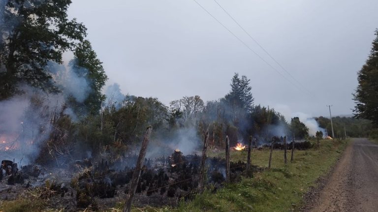 Detienen a adulto mayor por provocar quema no autorizada que afectó bosque nativo en La Unión