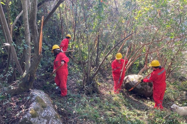 CORE Los Ríos aprobó $2.999 millones para programa de empleo y capacitación dirigido a mujeres rurales