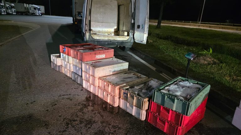 Decomiso fue donado a organizaciones de beneficiencia