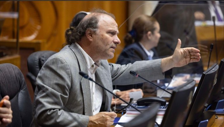 Senador De Urresti presenta requerimiento de inconstitucionalidad contra artículo de la Ley de Presupuestos 2026