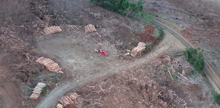 PDI detiene a tres personas por sustracción de madera en predio forestal de La Unión