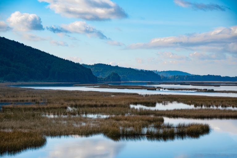 Valdivia será sede del encuentro mundial de Ciudades Humedal en 2027