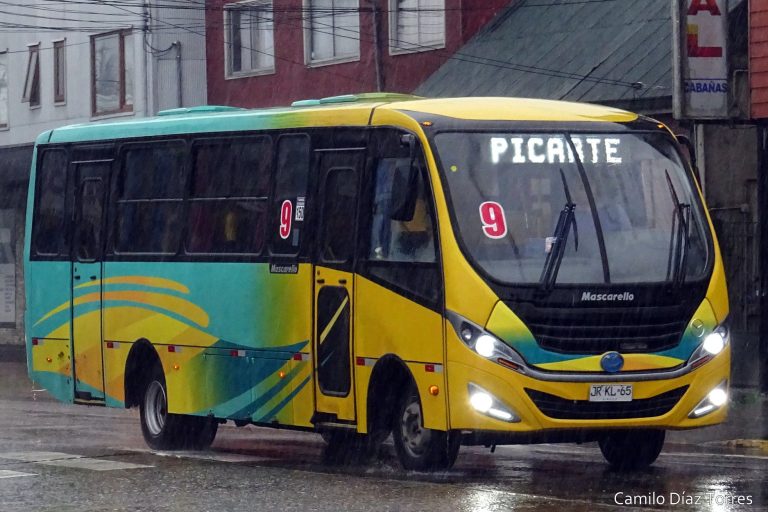 Gobierno anuncia alza en tarifas del transporte público en Valdivia desde el 28 de febrero