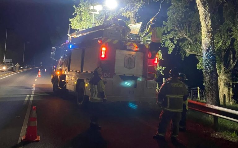 Fatal atropello en Pindaco deja un hombre fallecido en la ruta Río Bueno – Lago Ranco