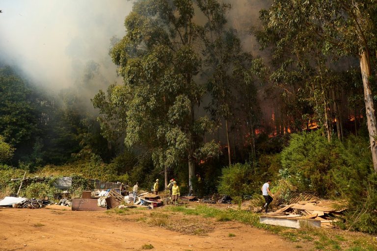 Incendio forestal en cerro Kunstmann consumió 2,5 hectáreas y obligó a declarar alerta roja en Valdivia