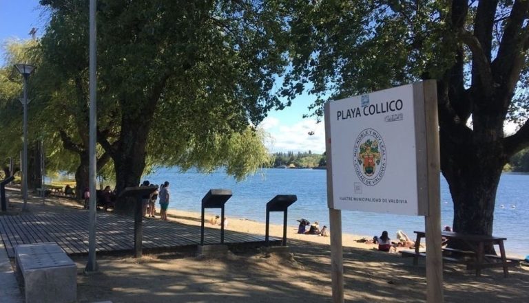 Adolescente de 17 años muere tras ahogarse en playa Collico de Valdivia