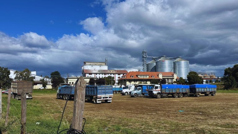 SERVIU exige al municipio de La Unión desocupar terreno fiscal usado como estacionamiento por camiones del Molino Kunstmann
