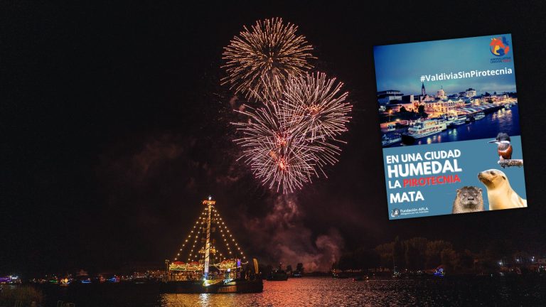 Animalistas piden suspender fuegos artificiales de la Noche Valdiviana por impacto en mascotas y personas con TEA