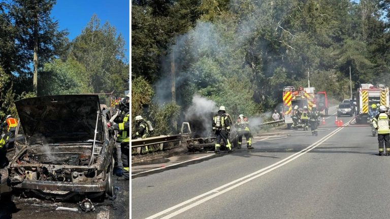 Incendio destruye por completo vehículo en la Ruta T-206 que conecta Paillaco con Valdivia