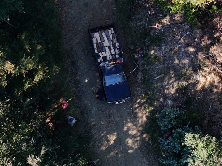 PDI detiene a dos hombres por usurpación y sustracción de madera en predio de Corral
