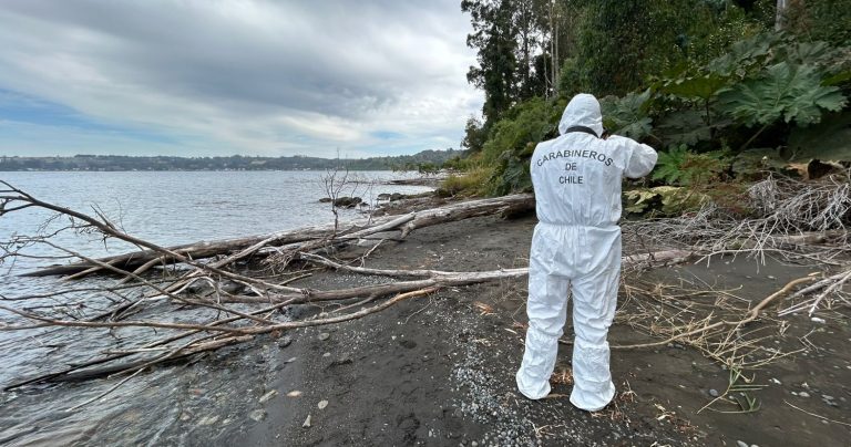 Hallan cadáver de un hombre en la ribera del Lago Llanquihue en Frutillar Bajo