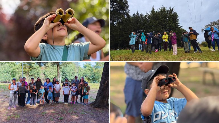 Avistamiento de aves para niños se desarrolla con gran éxito en La Unión