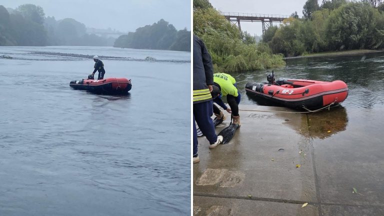 Joven de 22 años cae al río Bueno y es intensamente buscado por Bomberos