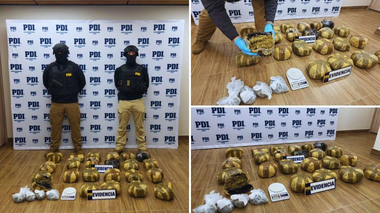 PDI incauta más de 22 kilos de marihuana en Valdivia y detiene a tres hombres
